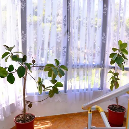 Flamuri Apartment *