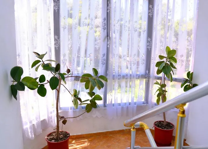 Flamuri Appartement *